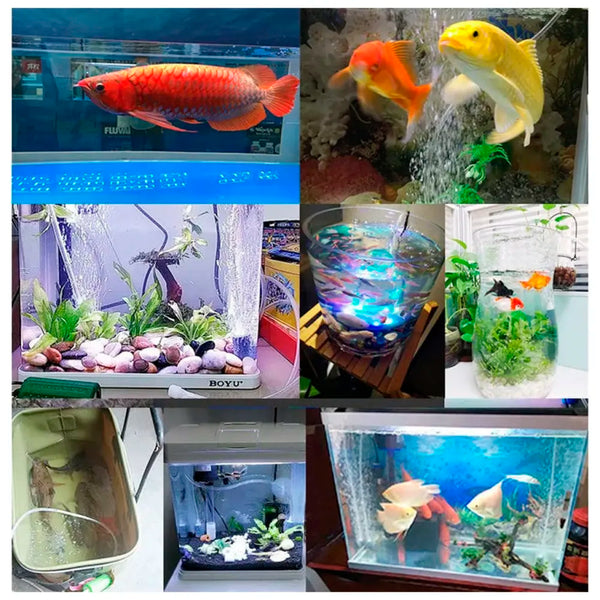 Aquarium Oxygen Pump - USB Air Pump - Quietest Portable Aquarium Air Pump - Air Stone and Hose Included - Low Power Usage - 5