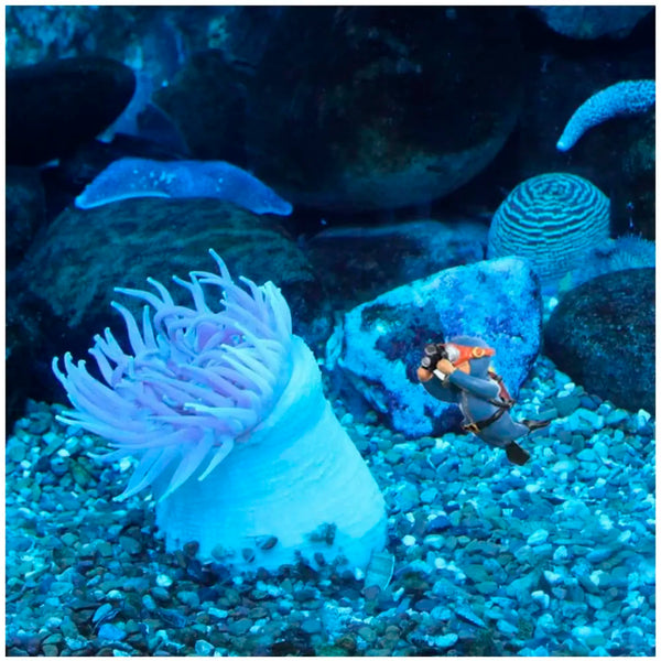 2pc Aquarium Diver Cartoon Aquarium Floating Cute Resin Aquarium Accessories Decorative Items for Fish Aquarium, Floating on Water Aquarium, Fish Aquarium Decoration, 7 X 3 cm - 9