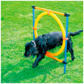 Dog Jump Ring Activity Ring Adjustable for Training and Healthy Life of Pets - 4