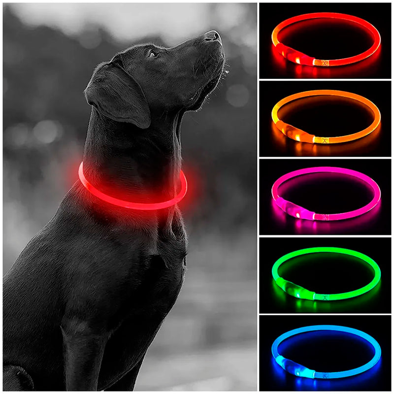 LED Dog Collar, USB Rechargeable LED Optical Fibre Collar Flashing Dog Collar DIY Light Up Necklaces Ensuring Safety for Night Walking 70-20 Cm (Red)