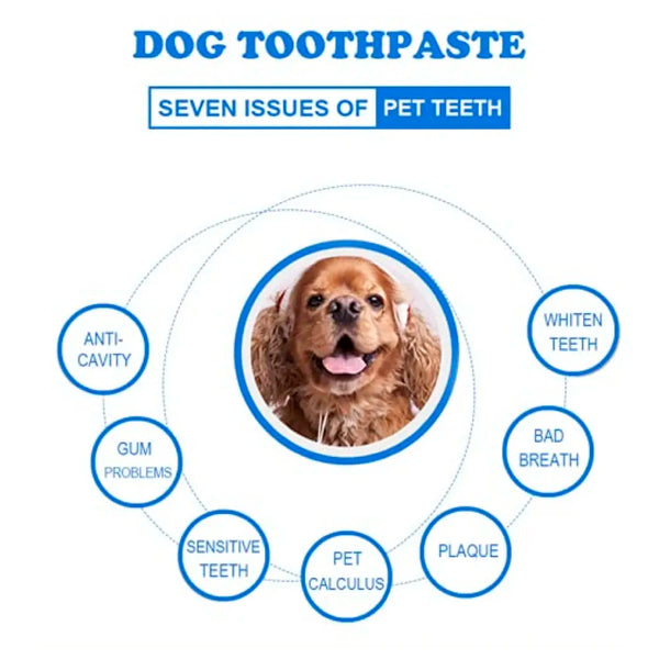 Chicken Dog Tooth Brushing Kit Teeth Cleaning Kit Plaque and Tartar Control Toothpaste with 3 Toothbrush for Dogs Eliminates Bad Breath, Dog Toothpaste Chicken Flavour. - 5