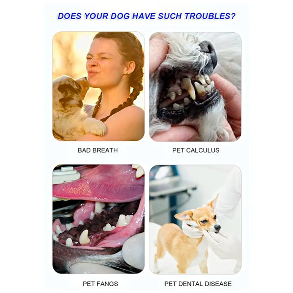 Chicken Dog Tooth Brushing Kit Teeth Cleaning Kit Plaque and Tartar Control Toothpaste with 3 Toothbrush for Dogs Eliminates Bad Breath, Dog Toothpaste Chicken Flavour. - 6