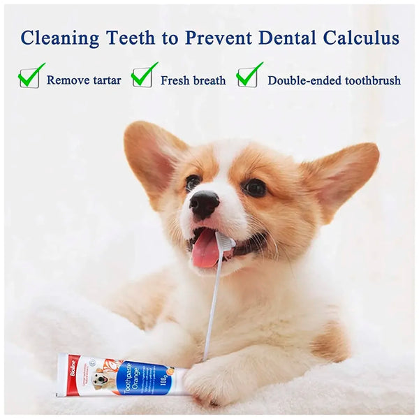 Orange Dog Tooth Brushing Kit Teeth Cleaning Kit Plaque and Tartar Control Toothpaste with 3 Toothbrush for Dogs Eliminates Bad Breath, Dog Toothpaste Orange Flavour. - 3