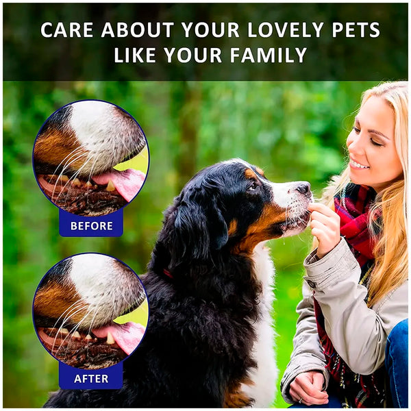 Orange Dog Tooth Brushing Kit Teeth Cleaning Kit Plaque and Tartar Control Toothpaste with 3 Toothbrush for Dogs Eliminates Bad Breath, Dog Toothpaste Orange Flavour. - 5