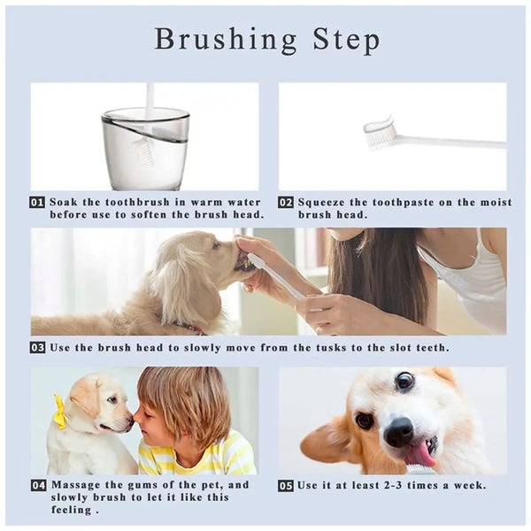 Orange Dog Tooth Brushing Kit Teeth Cleaning Kit Plaque and Tartar Control Toothpaste with 3 Toothbrush for Dogs Eliminates Bad Breath, Dog Toothpaste Orange Flavour. - 7