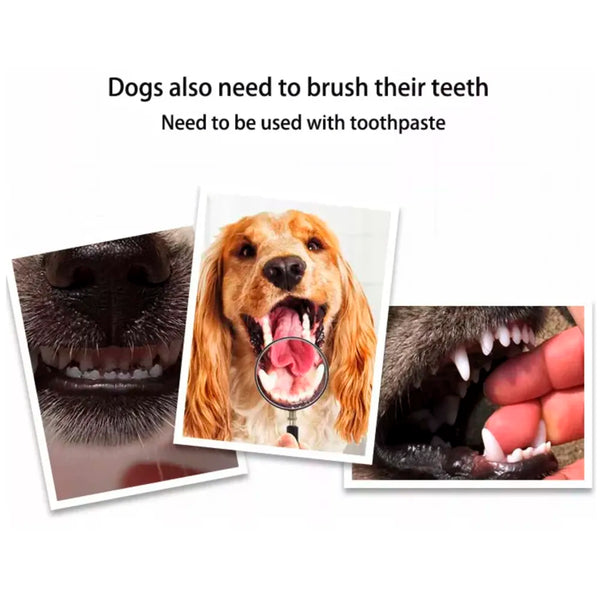 Dog Toothbrush Set of 3 – Dual Headed Dental Hygiene Brushes for Small to Large Dogs, Cats - 5
