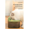 2 in 1Pet Water Fountain and Bowl with Filter and Pump, 31 x 17 x11 Cm Drinking Bowl for Cats and Dogs, Cat Fountain for Home - 6
