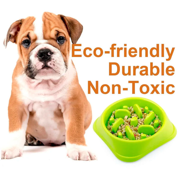 Slow Feeding Bowl for Dogs Dog Food Bowl, Cat Food for Digestion and Chewing Properly - 2