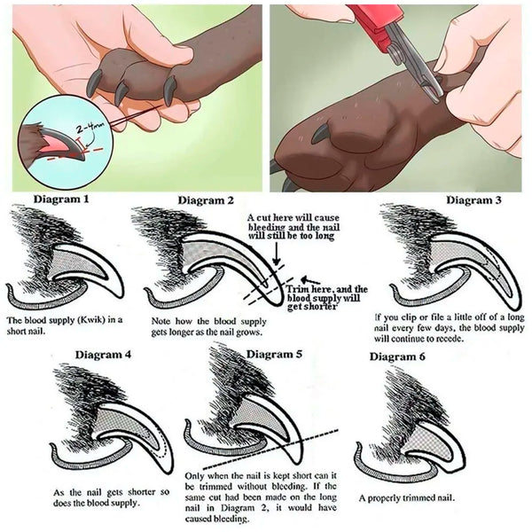 Professional Automatic Rechargeable Unisex Pet Hair Trimmer For Dogs And Cats (Trimmer), Battery Powered, Multicolor - 7